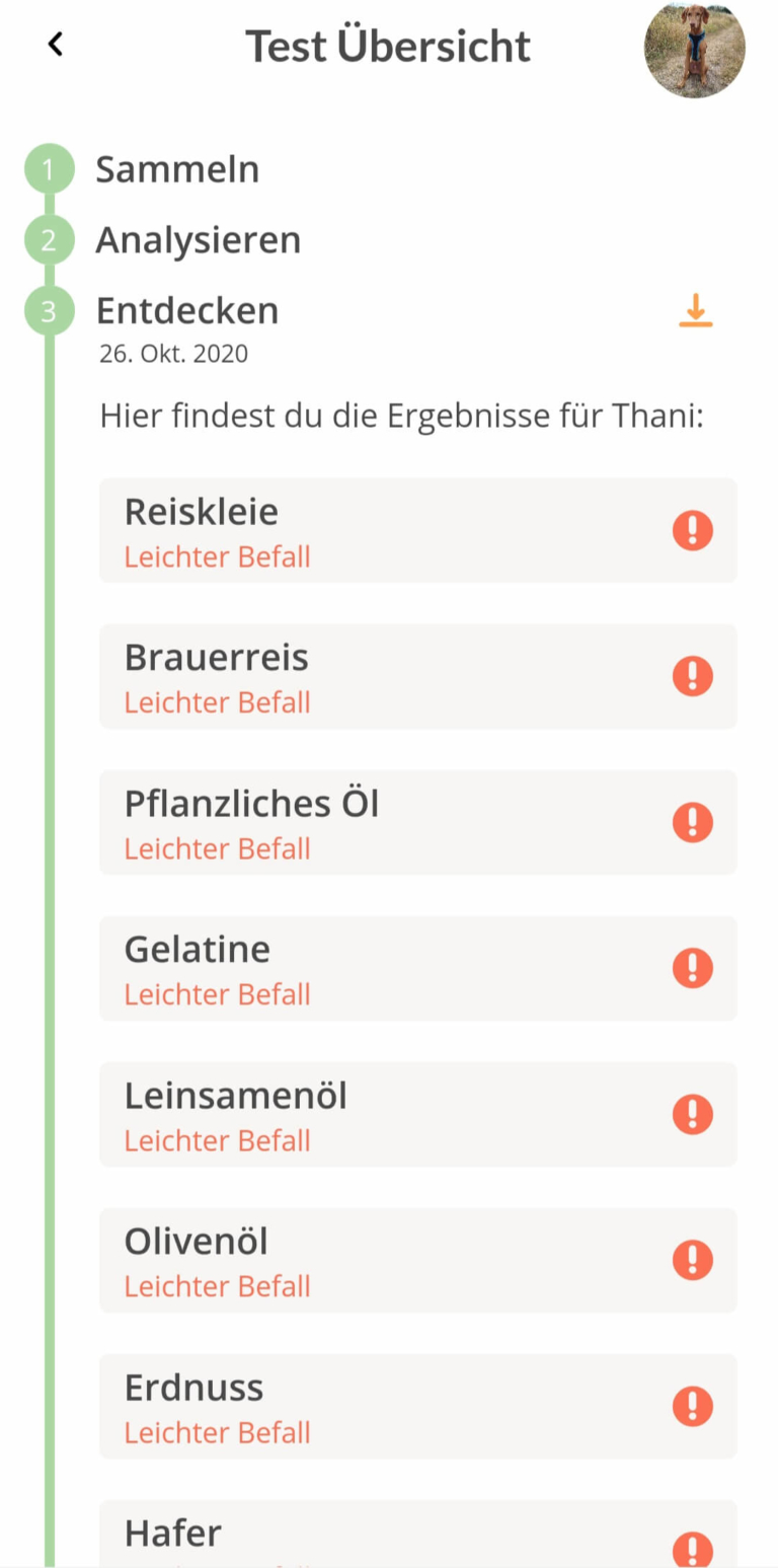 Vetevo Allergietest Hund im Test Allergien und Unverträglichkeiten